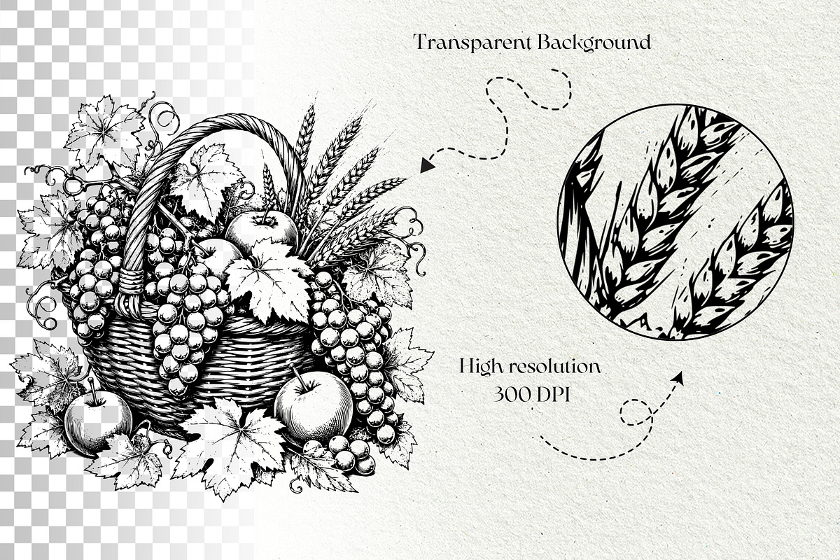 Grape Harvest Vineyard Graphics, a Decorative Illustration by DENIDigitalArtSudio (Photo 6 of 6)