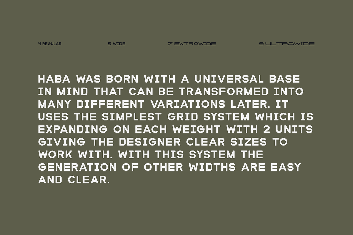 Haba Display Font Family, a Font by Barghest (Photo 2 of 9)