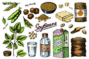 Soya beans. Tofu, nuts, Seeds draw, a Food Illustration by Arthur Balitskiy (Thumbnail 4 of 4)