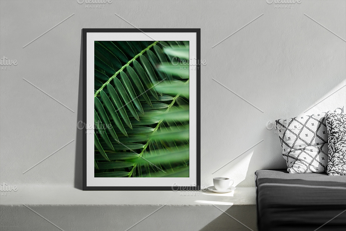Tropical Plants Photos Bundle, a Nature Photo by eezo (Photo 5 of 6)