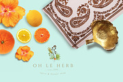 BOHO SOUL scene creator & items, a Product Mockup by Isabelle Salem (Thumbnail 7 of 11)
