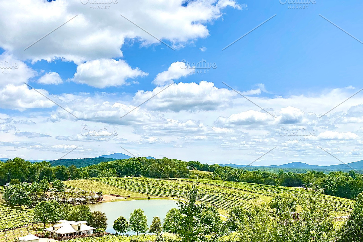 North Georgia Wine Country, a Nature Photo by Wild Wanderer Photography (Photo 2 of 2)