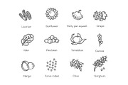 Vegetables and Fruit Vector icons, a Food Illustration by Tettygreen (Thumbnail 3 of 3)