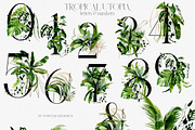 Tropical Greenery Watercolor Clipart, an Illustration by whiteheartdesign (Thumbnail 13 of 22)