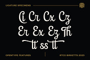 Birketts - Classy Motorcycle Font, a Script Font by Roams Type (Thumbnail 5 of 8)