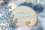 Song of the Sea - Collage & Vector, an Object Graphic by vanloveart (Thumbnail 6 of 7)