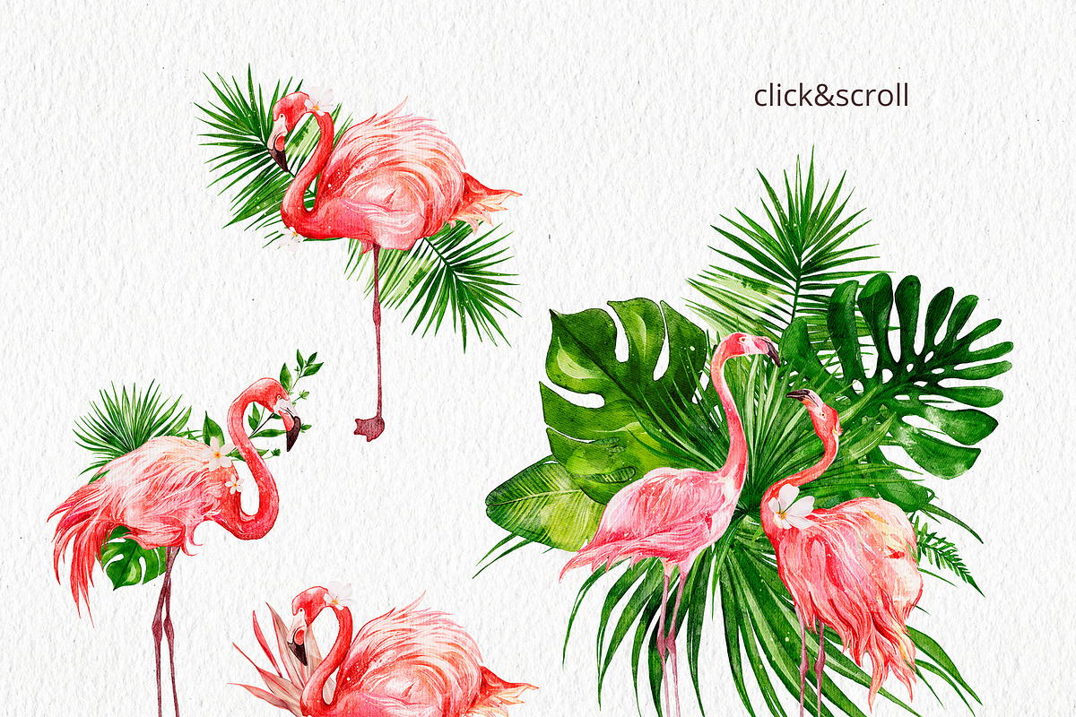 Tropical Collection Watercolor, a Decorative Illustration by Yakovleva Margarita (Photo 4 of 20)