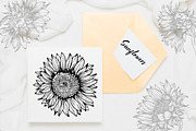 Sunflowers Outline Drawings, an Object Graphic by Dervik Art Store (Thumbnail 2 of 7)