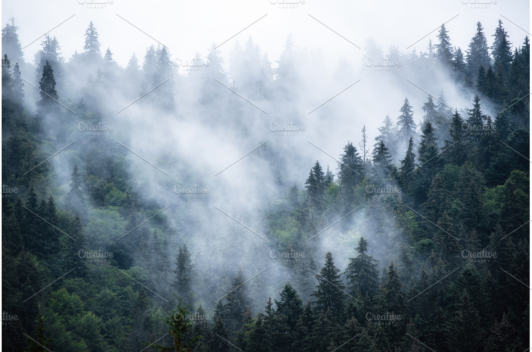 Misty mountain landscape, a Nature Photo by Nature and travel