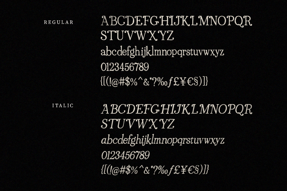 Casoria Serif, a Serif Font by Letter Fresh (Photo 12 of 12)