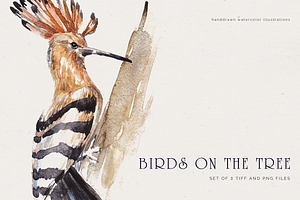 Handdrawn watercolor birds