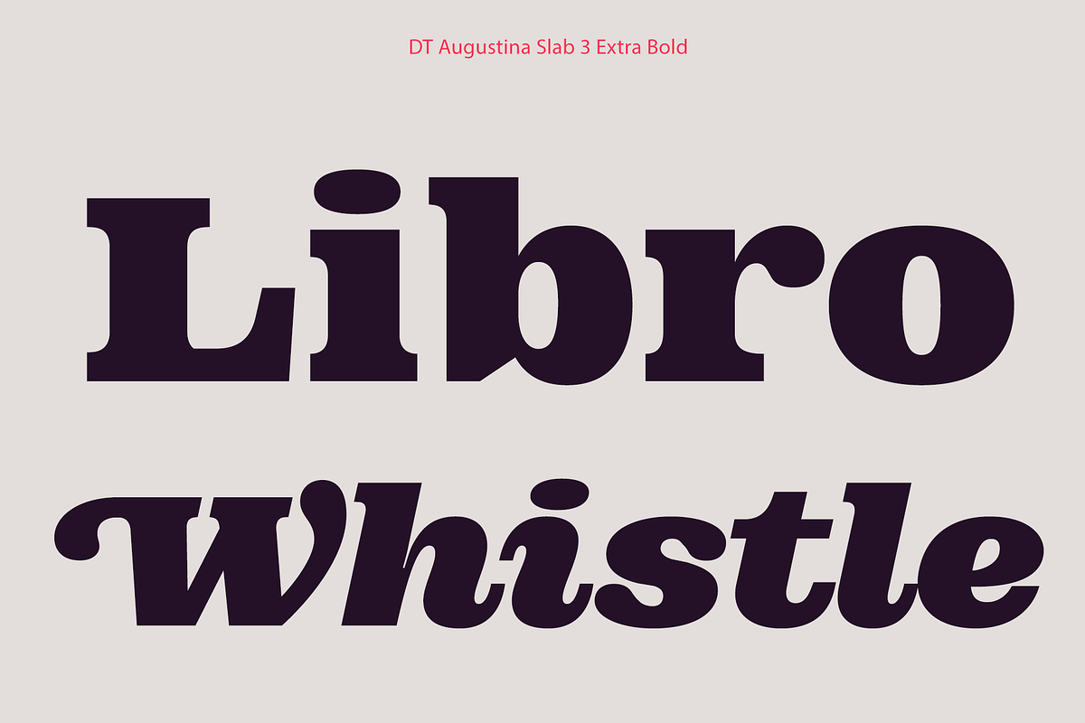 DT Augustina Slab 3 Subfamily, a Slab Serif Font by Deveze Type Foundry (Photo 15 of 31)