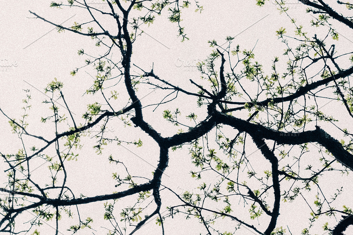 Blossom Tree - Fine Art Photography, a Nature Photo by Marie Dumora (Photo 5 of 5)