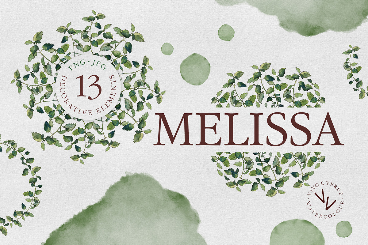 Melissa: watercolor floral elements, an Illustration by vivo e verde (Photo 1 of 11)