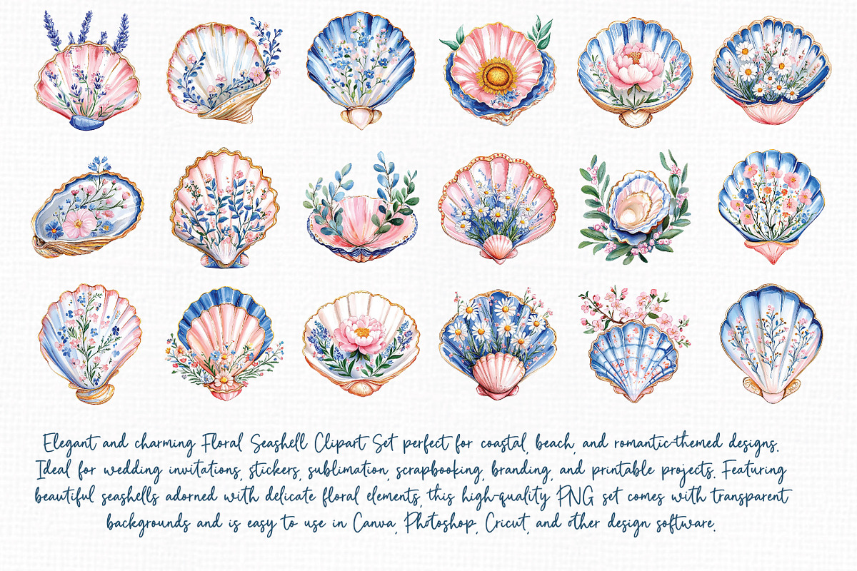 Floral Seashell Clipart set, an Illustration by Libby Wishes (Photo 2 of 7)