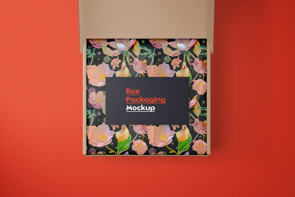 Download Box Mockup Set