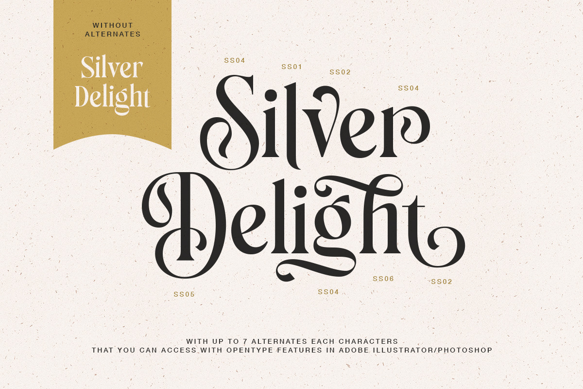 Silver Delight Modern Serif, a Serif Font by Letterhend Studio (Photo 4 of 10)