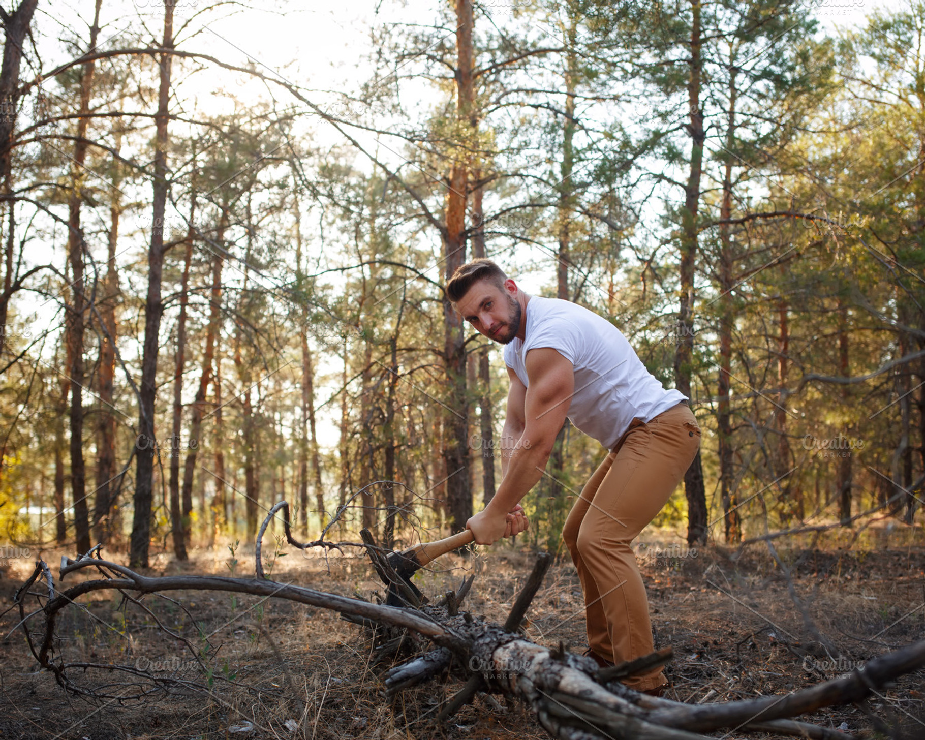 Lumberjack chop a fallen tree., a Person Photo by Elena Vagengeim ...