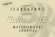 Leonis - Luxury Font, a Serif Font by Snape Design Studio (Thumbnail 4 of 12)