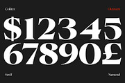 Colitez - Editorial Serif, a Serif Font by Oktnum Type Foundry (Thumbnail 13 of 15)