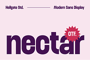 Nectar Modern Sans, a Sans Serif Font by GRVS Studio (Thumbnail 1 of 7)
