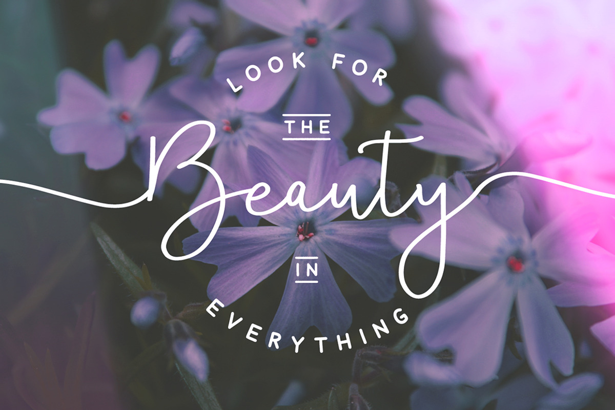 Violetta Font Pack preview 8