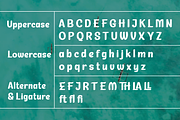 Wadingr | Summer San Serif Display, a Sans Serif Font by twinstd (Thumbnail 9 of 10)
