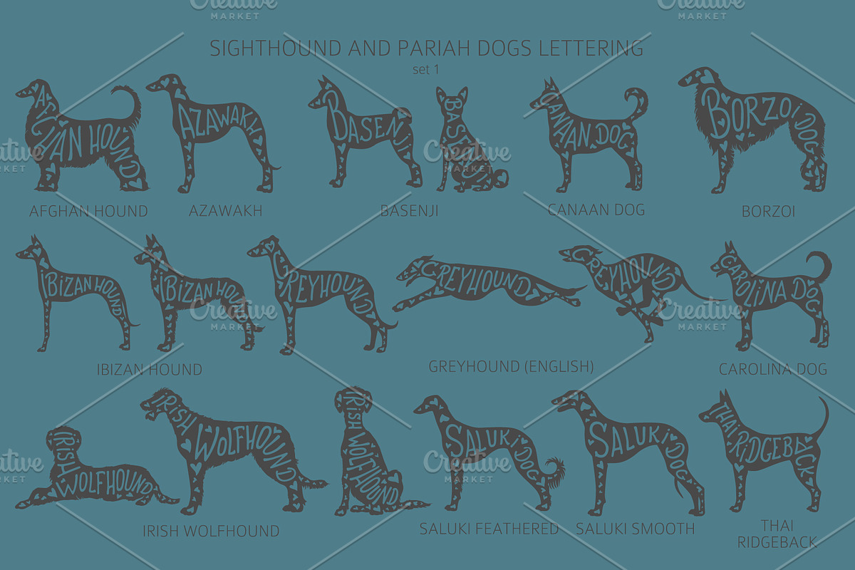Sighthound and Pariah dog Silhouette, an Animal Illustration by pet design shop (Photo 2 of 9)