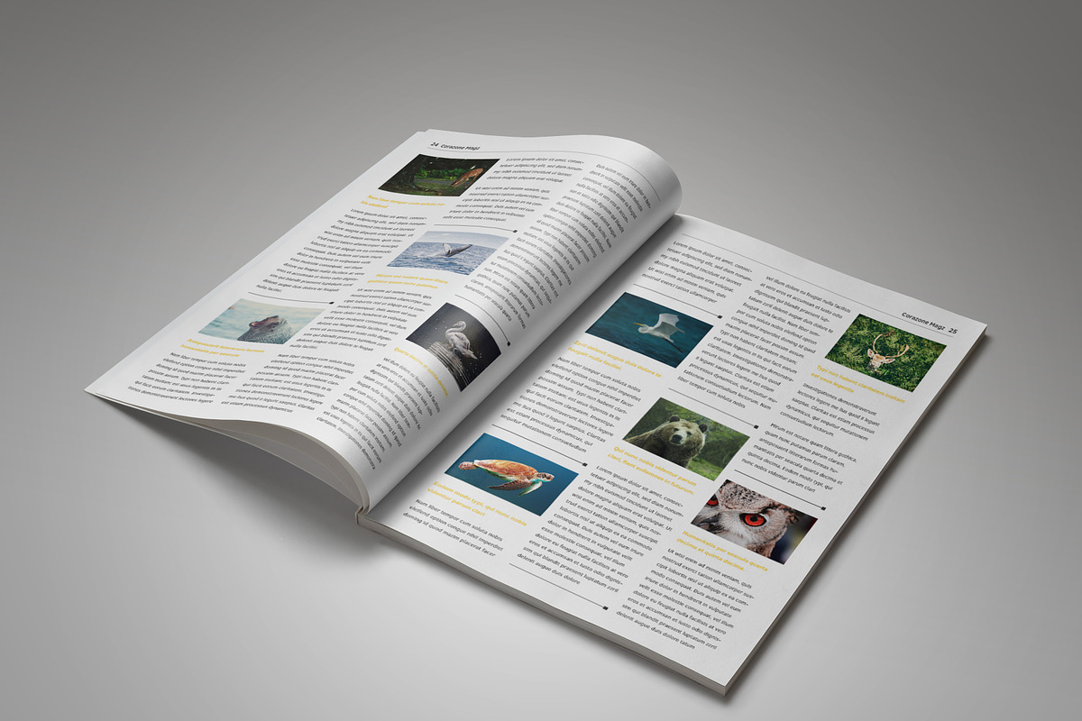 Corazone Magazine (2017 Edition), a Magazine Template by Bokuto (Photo 14 of 17)