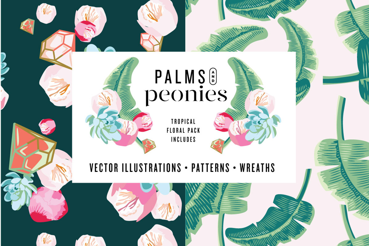SALE! Palm Succulent Illustrations, an Illustration by Josty (Photo 1 of 7)