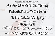Everyday, a Handwritten Font by FreshTypeINK (Thumbnail 8 of 8)