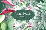 Exotic Plants  - Vector Set, a Decorative Illustration by Marina Grau (Thumbnail 1 of 3)