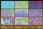 Coral Textures, a Texture Graphic by Kapoor Design Empire (Thumbnail 5 of 8)