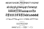 MELOTA Playful Brush Font, a Handwritten Font by NTC Graphic (Thumbnail 8 of 9)