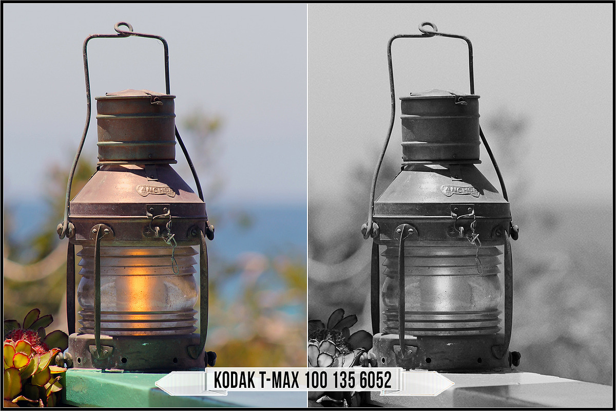 Eastman Kodak Black White Films LUTs, a Plug-in Add-On by Raztrend (Photo 23 of 30)