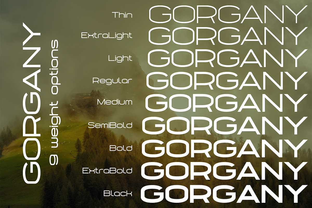 Gorgany font family, a Sans Serif Font by vlad.berla (Photo 3 of 8)