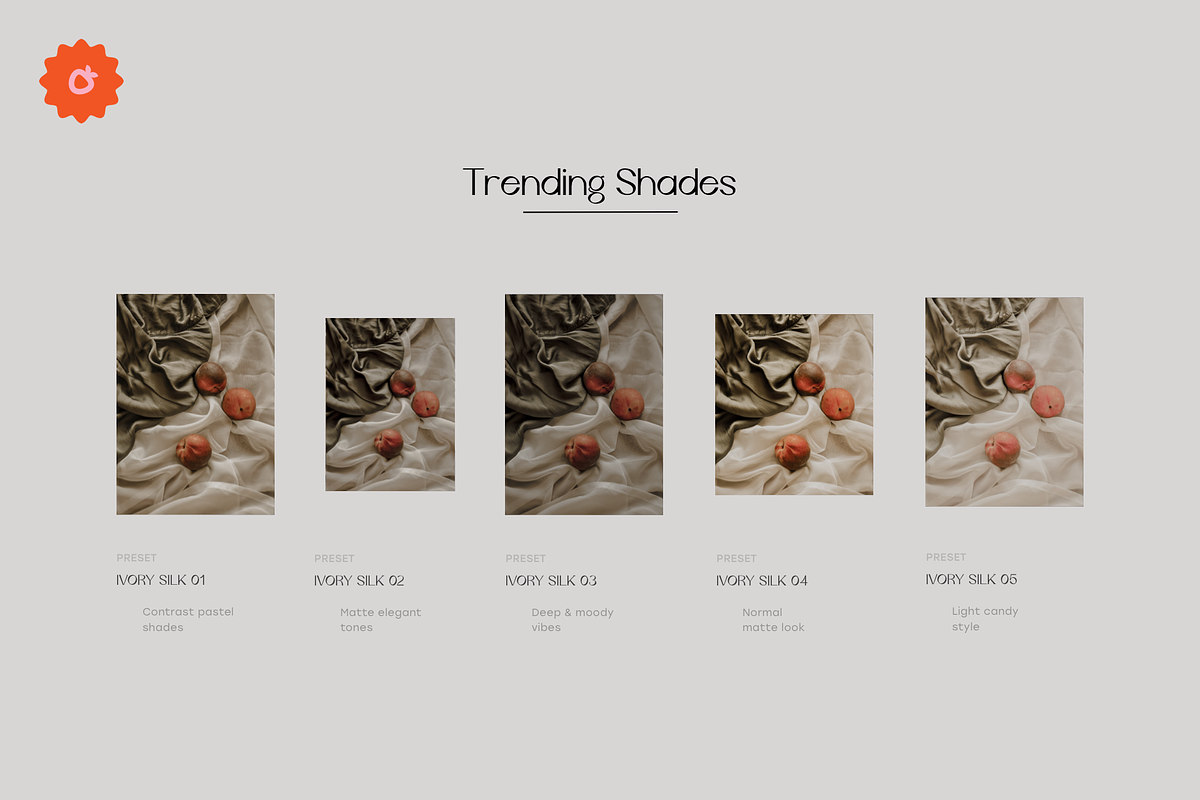 5 Ivory Lightroom Presets, a Preset Add-On by SHOOM HOUSE (Photo 4 of 10)