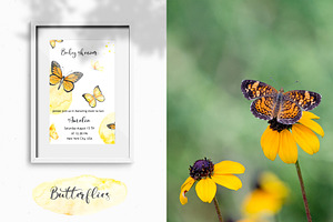 Butterflies Watercolor Collection