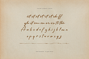 Larickson Fracture Script, a Script Font by Denustudios (Thumbnail 11 of 12)