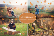 Oak Grove - falling leaves overlay, an Object Graphic by BrownLeopard (Thumbnail 1 of 2)