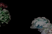 Futuristic Florals, a Pattern Graphic by Templit Moon (Thumbnail 4 of 4)