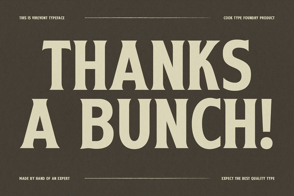 Virevont, a Serif Font by graphicook (Photo 10 of 10)