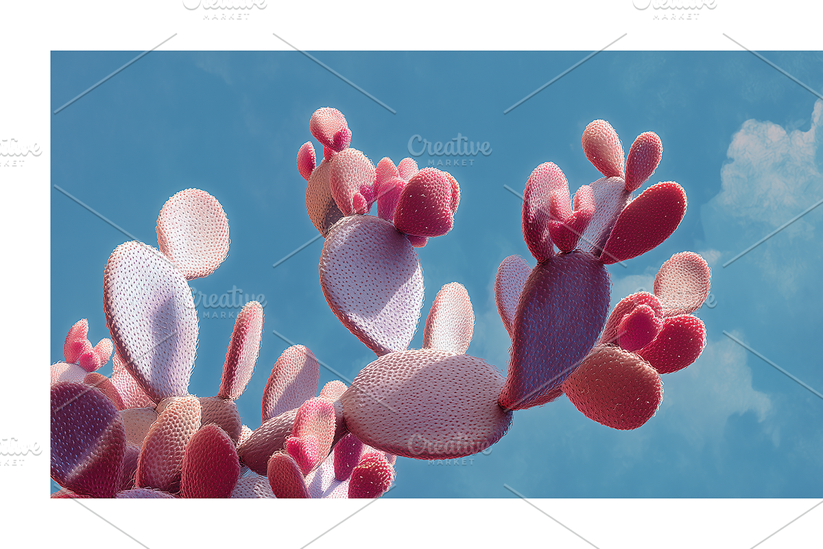 Arid Co · Desert Plantscape, a Texture Illustration by milatovar (Photo 10 of 20)