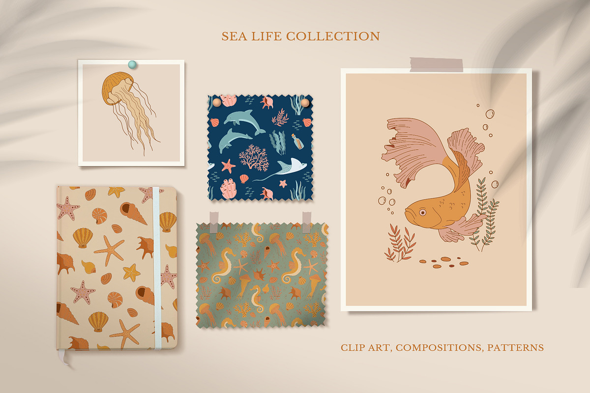 Sea Life Collection, an Animal Illustration by Nadezhda Mikhailova (Photo 2 of 18)