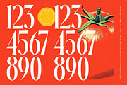 Ketchup Vintage Modern Serif, a Serif Font by timelesstype.co (Thumbnail 15 of 20)