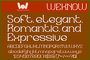 Sweet Emotion Font, a Serif Font by weknow (Thumbnail 4 of 8)