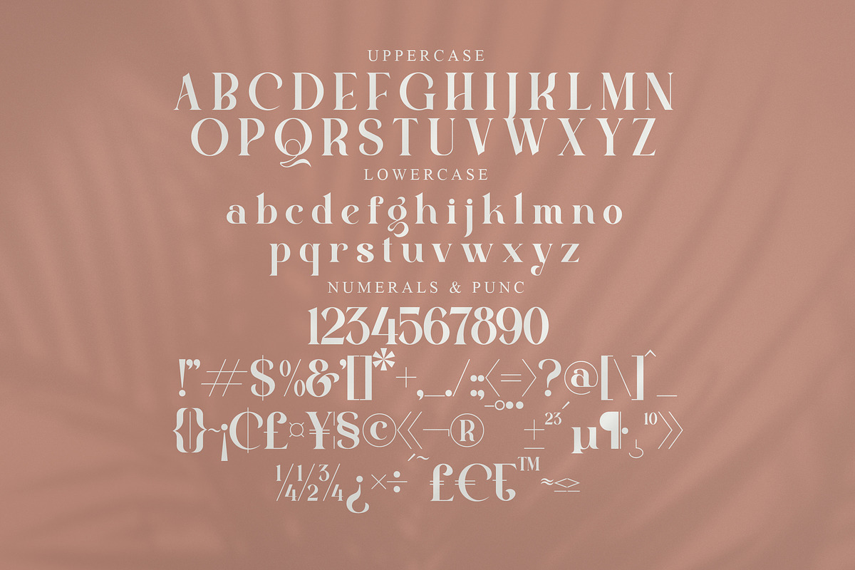 Quella Modern Serif Font, a Serif Font by Storytype Studio (Photo 13 of 15)