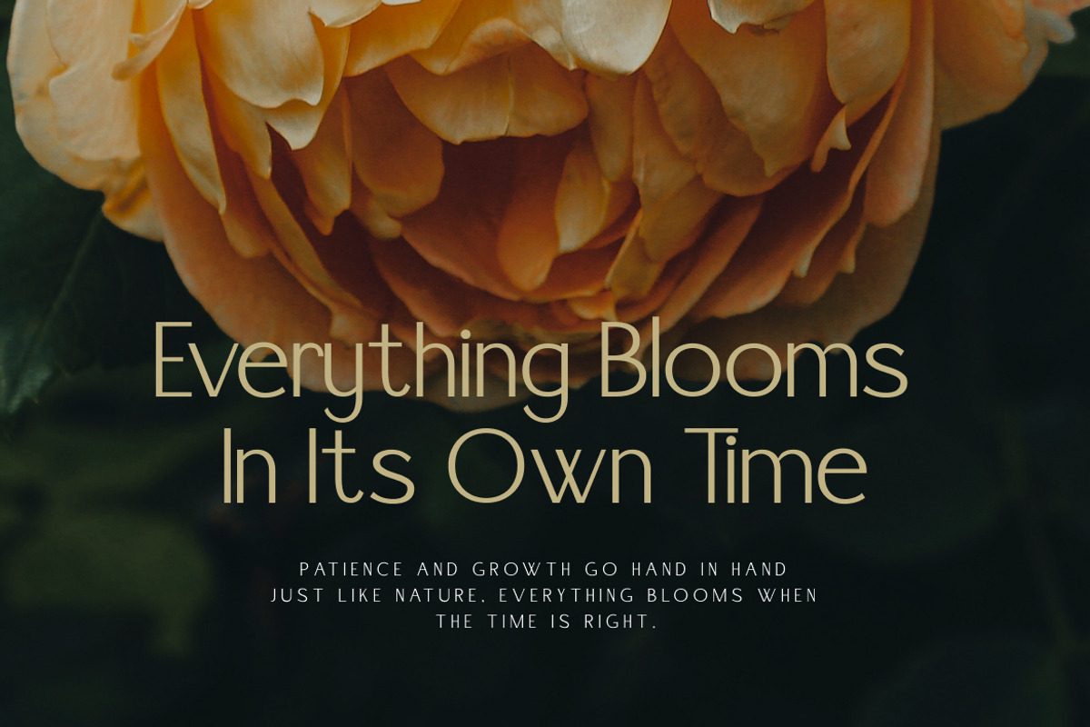 Dahaga – Modern Stylish Sans Serif, a Sans Serif Font by Vadovastd (Photo 5 of 7)