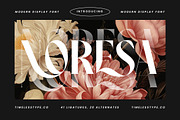 Noresa Modern Editorial Serif, a Serif Font by timelesstype.co (Thumbnail 1 of 20)