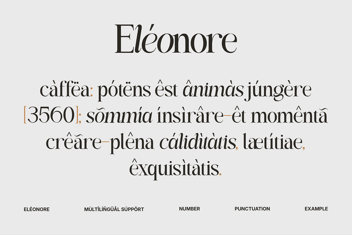 Eléonore – Serif Font for Branding, a Serif Font by Inviline.co (Photo 4 of 15)